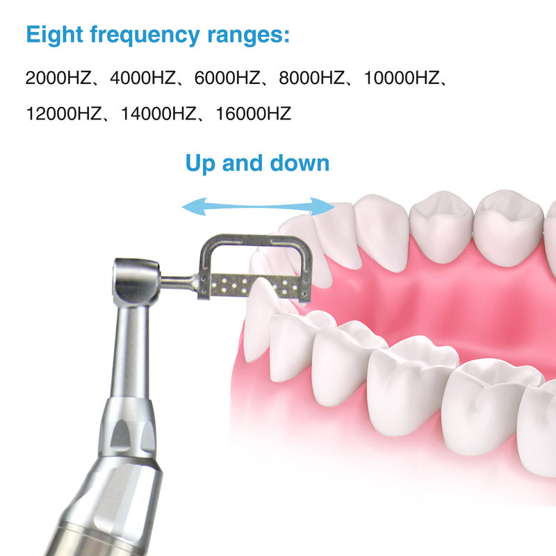 Zahnärztliches elektrisches drahtloses lPRS-System Orthodontisches Motor Zahnärztliches elektrisches drahtloses IPR-System Orthodontik und Polieren 2-in-1 Motor Typ-C Ladestation